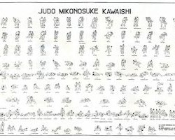 Metodo Kawaishi