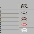 Programma judo