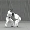 Kodokan-Goshin-Jutsu
