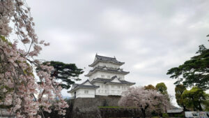 Il castello di Odawara